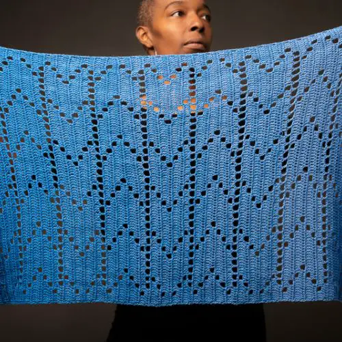 Ripley filet crochet shawl pattern